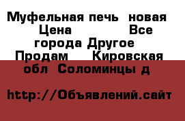 Муфельная печь (новая)  › Цена ­ 58 300 - Все города Другое » Продам   . Кировская обл.,Соломинцы д.